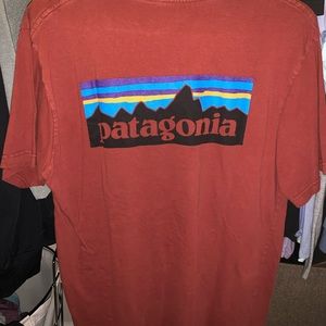 Patagonia T Shirt